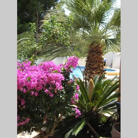 Casa Sobre El Mar, A Beautiful Oasis 1000m From Beach * Calpe